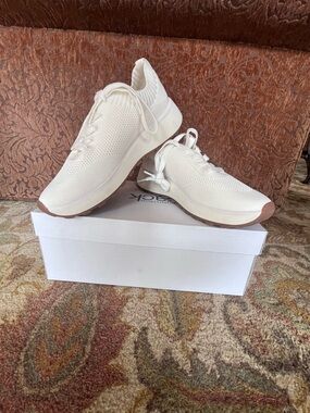 Neutral Knit Lace-Up Women's Sneakers in Off-White